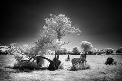 Ballyvackey Stone Circle