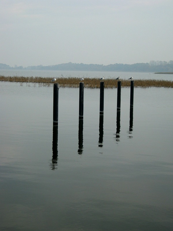 Balm // Ostsee 2011.