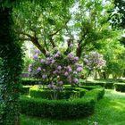 Balneario de Mondariz- Jardines