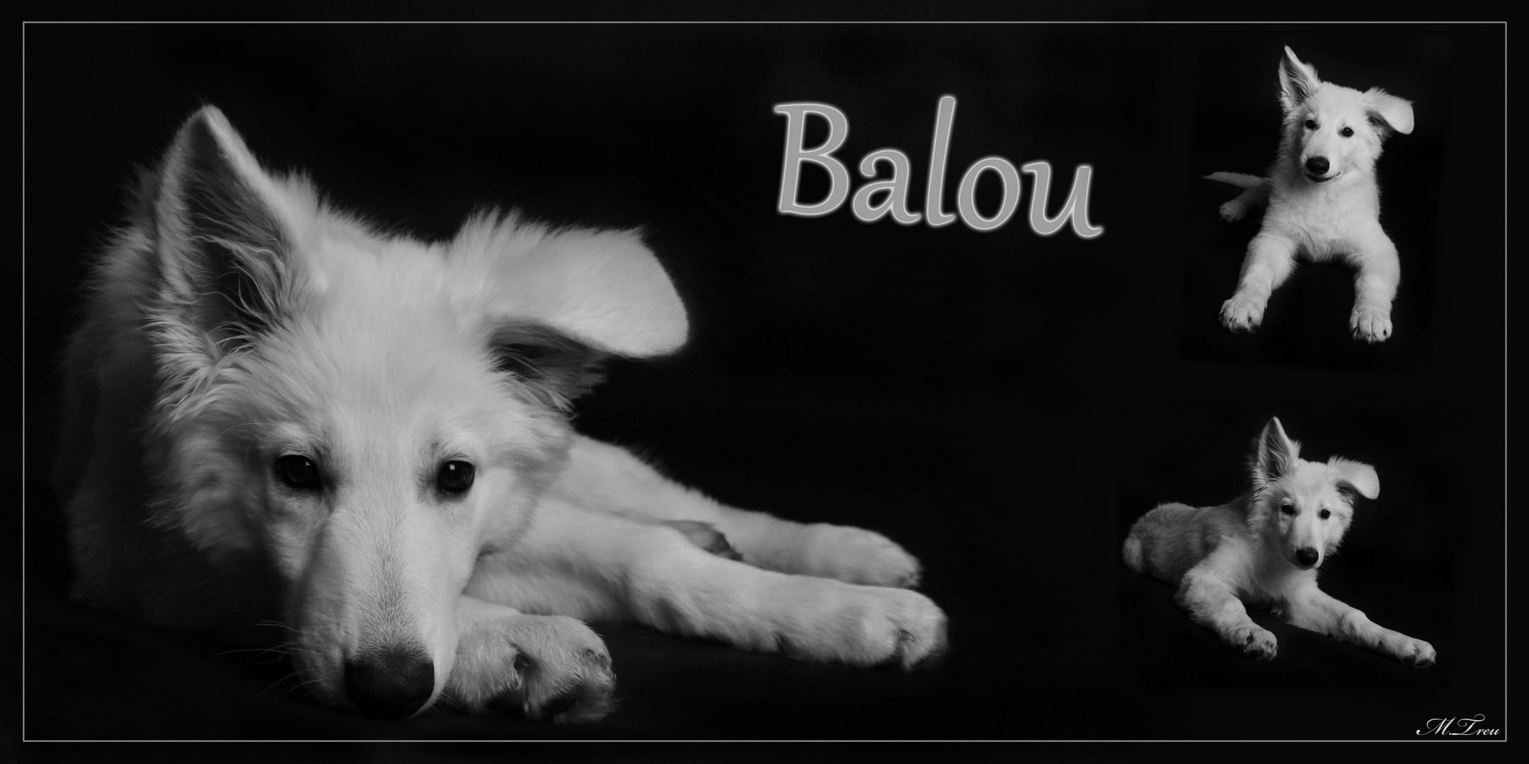 Balou