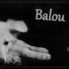 Balou