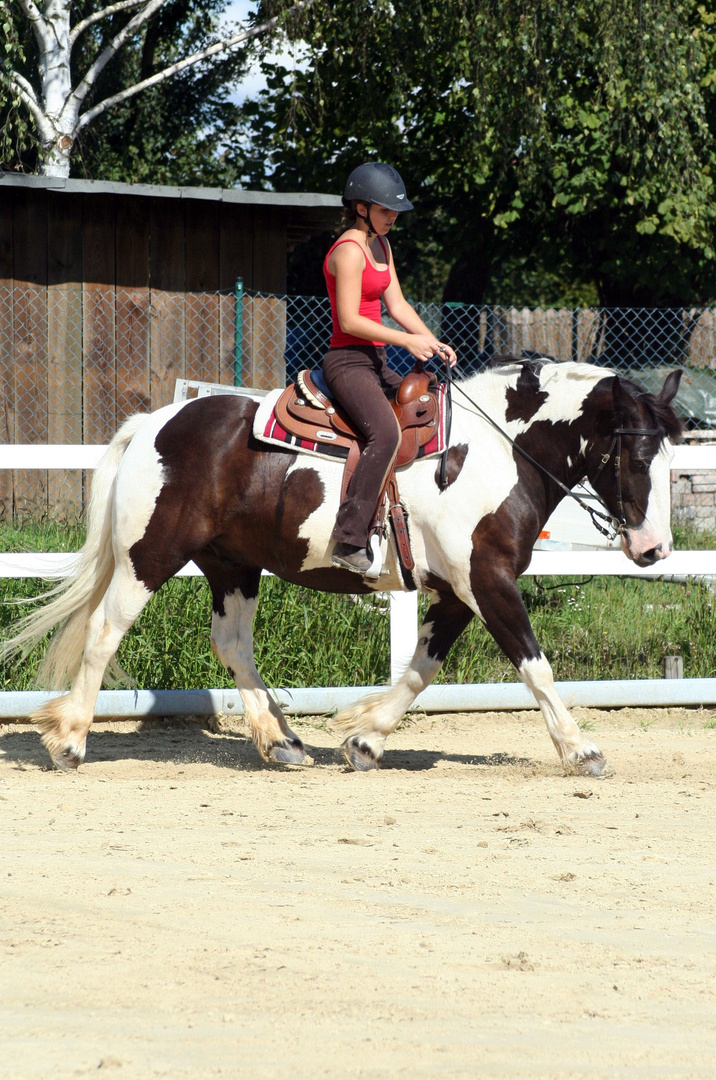 Balou und Ich bei der Arbeit