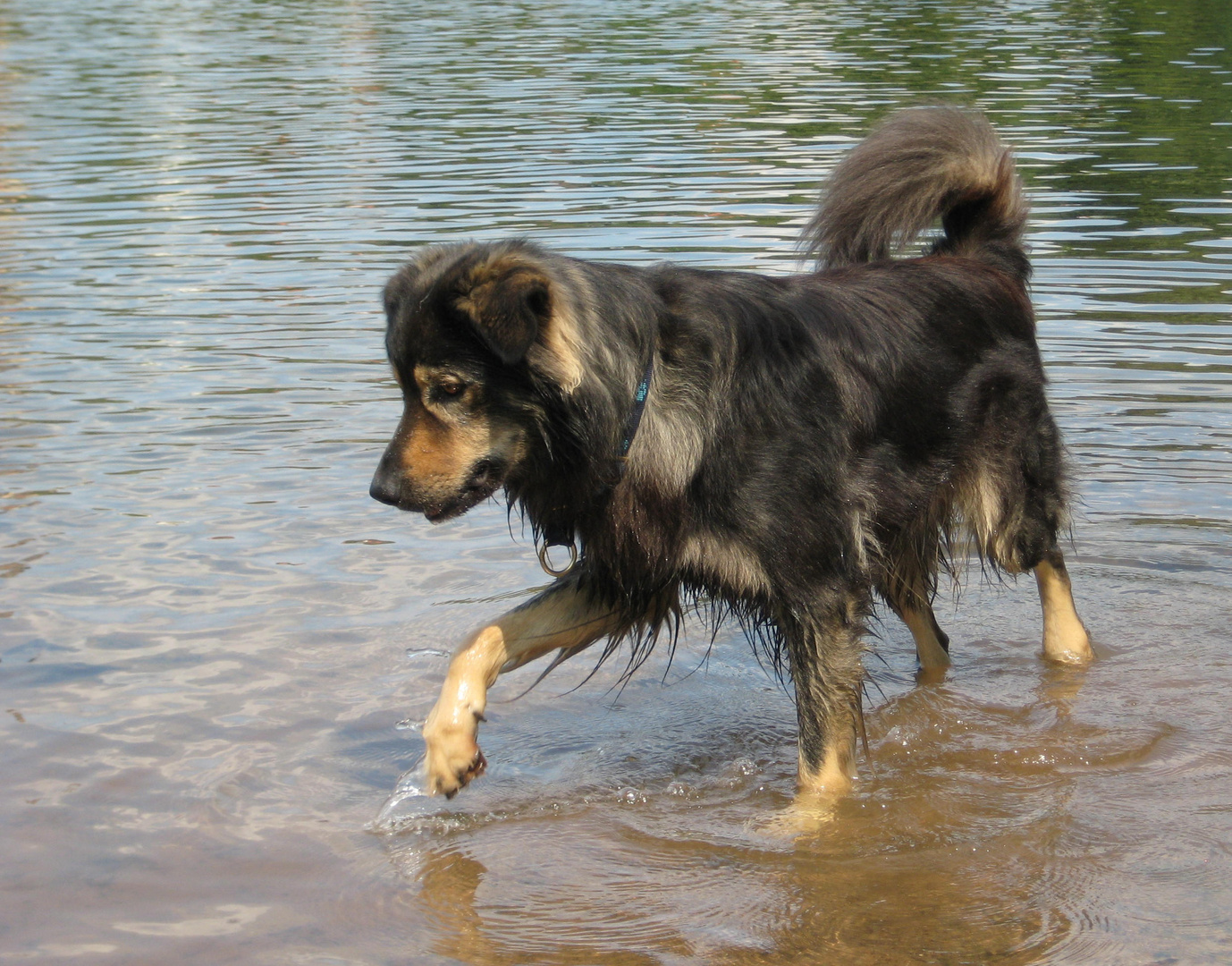 Balou`s Wasserspiele