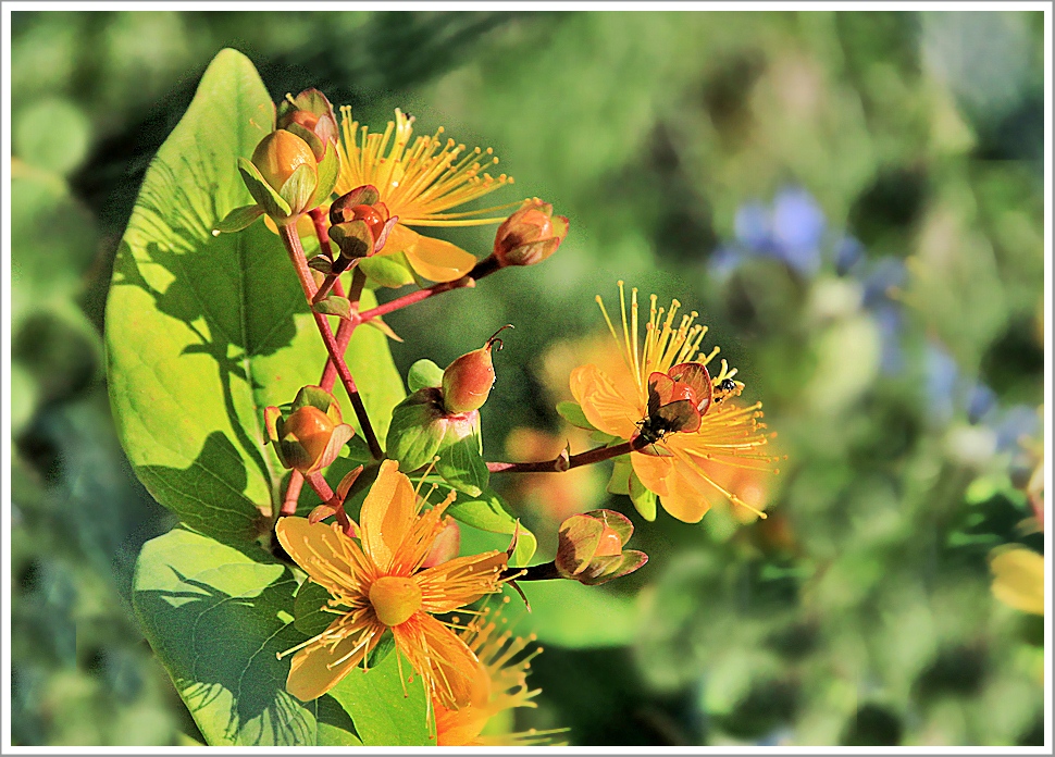 Balsam für die Seele