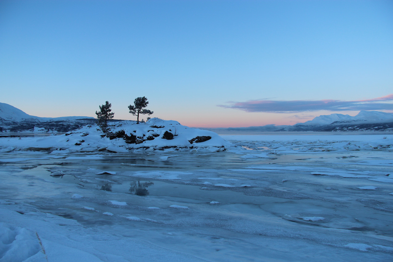 Balsfjord