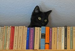 Balthasar und mein Bücherregal