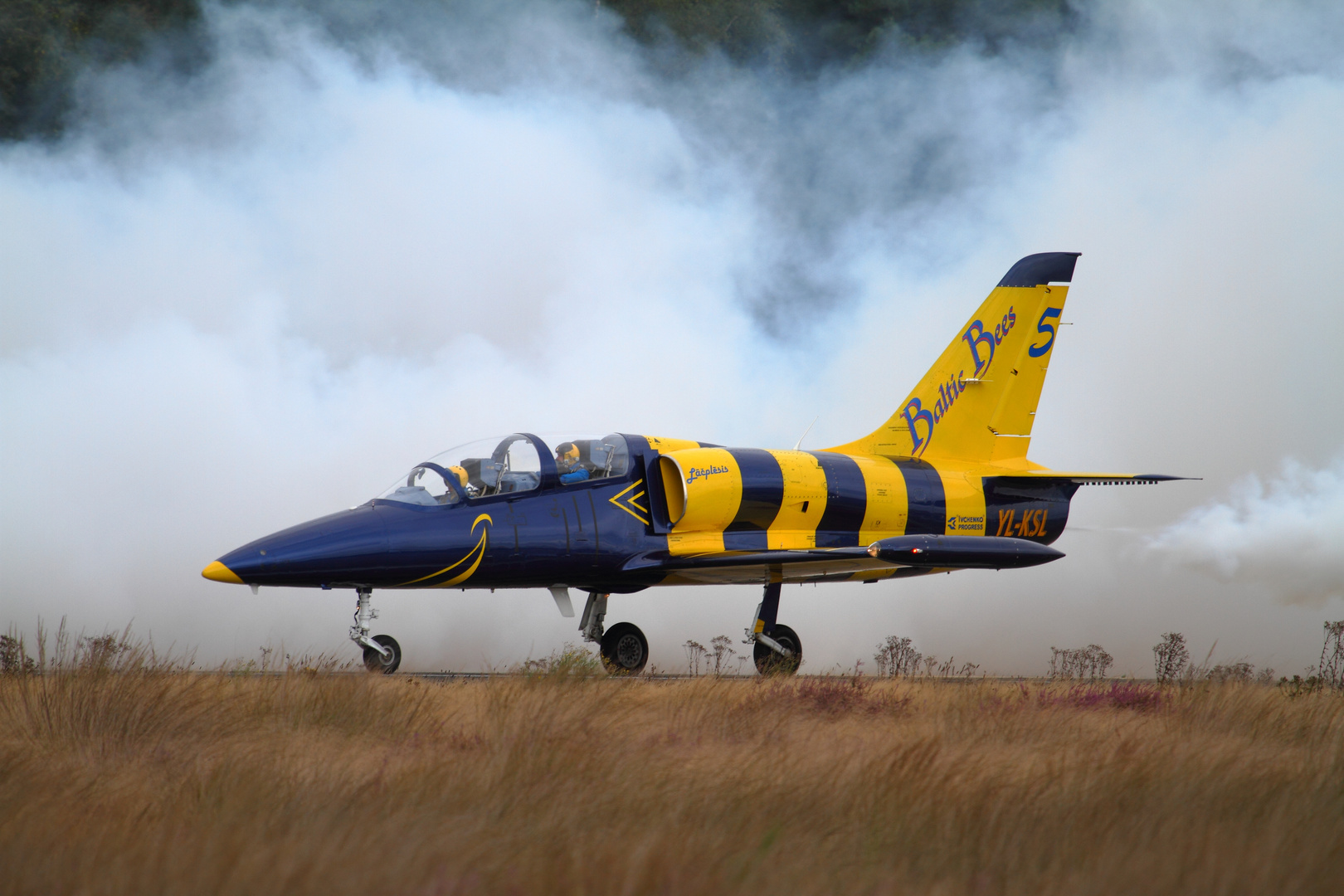 BALTIC BEES jet team #01