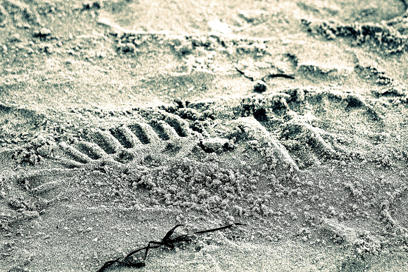 Baltic footprints