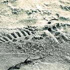 Baltic footprints