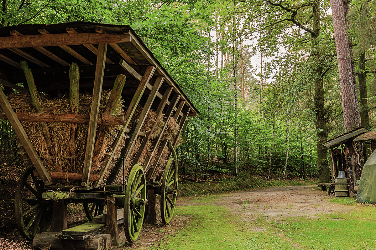 Baltic Man on Tour im Spreewald Part 1/5, hier Am Forsthaus Niederlausitz