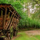 Baltic Man on Tour im Spreewald Part 1/5, hier Am Forsthaus Niederlausitz