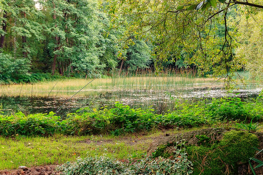 Baltic Man on Tour im Spreewald Part 1/5, hier Am Forsthaus Niederlausitz