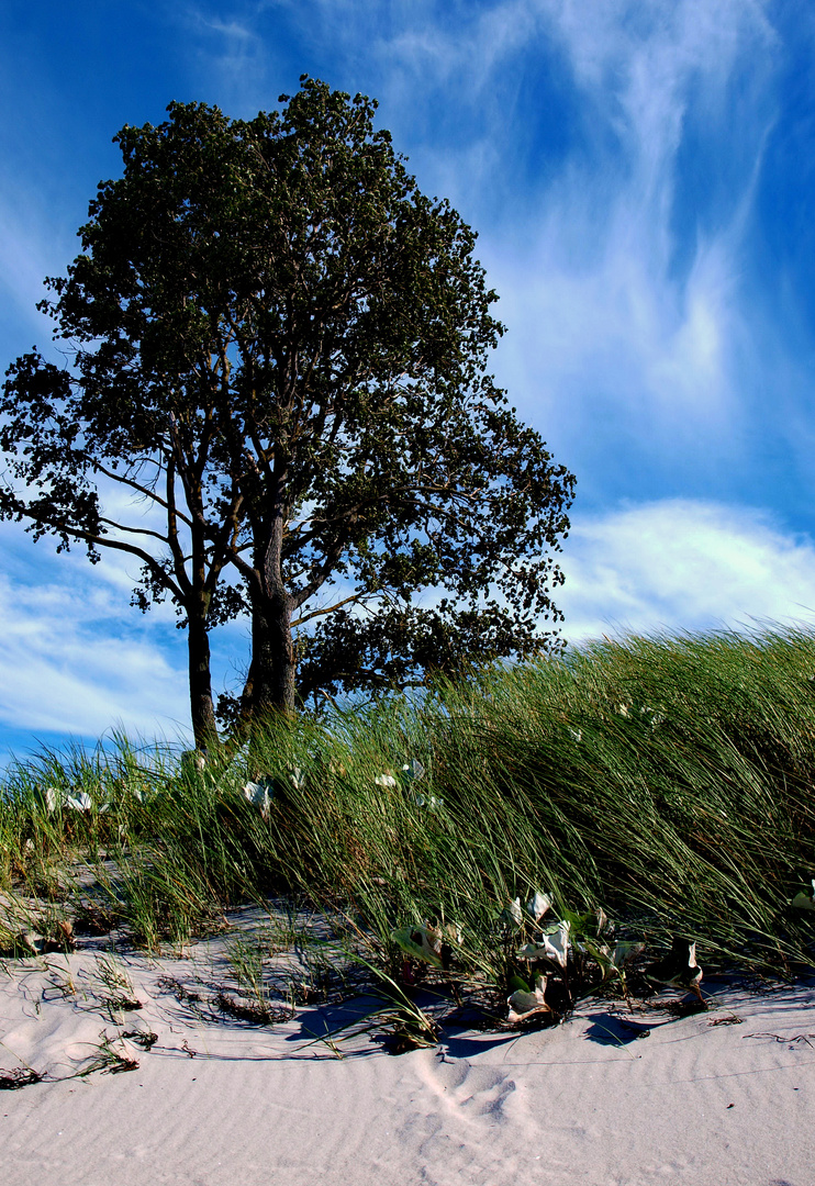 Baltic Sea