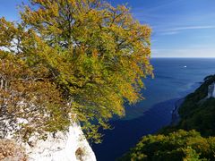 Baltic Sea