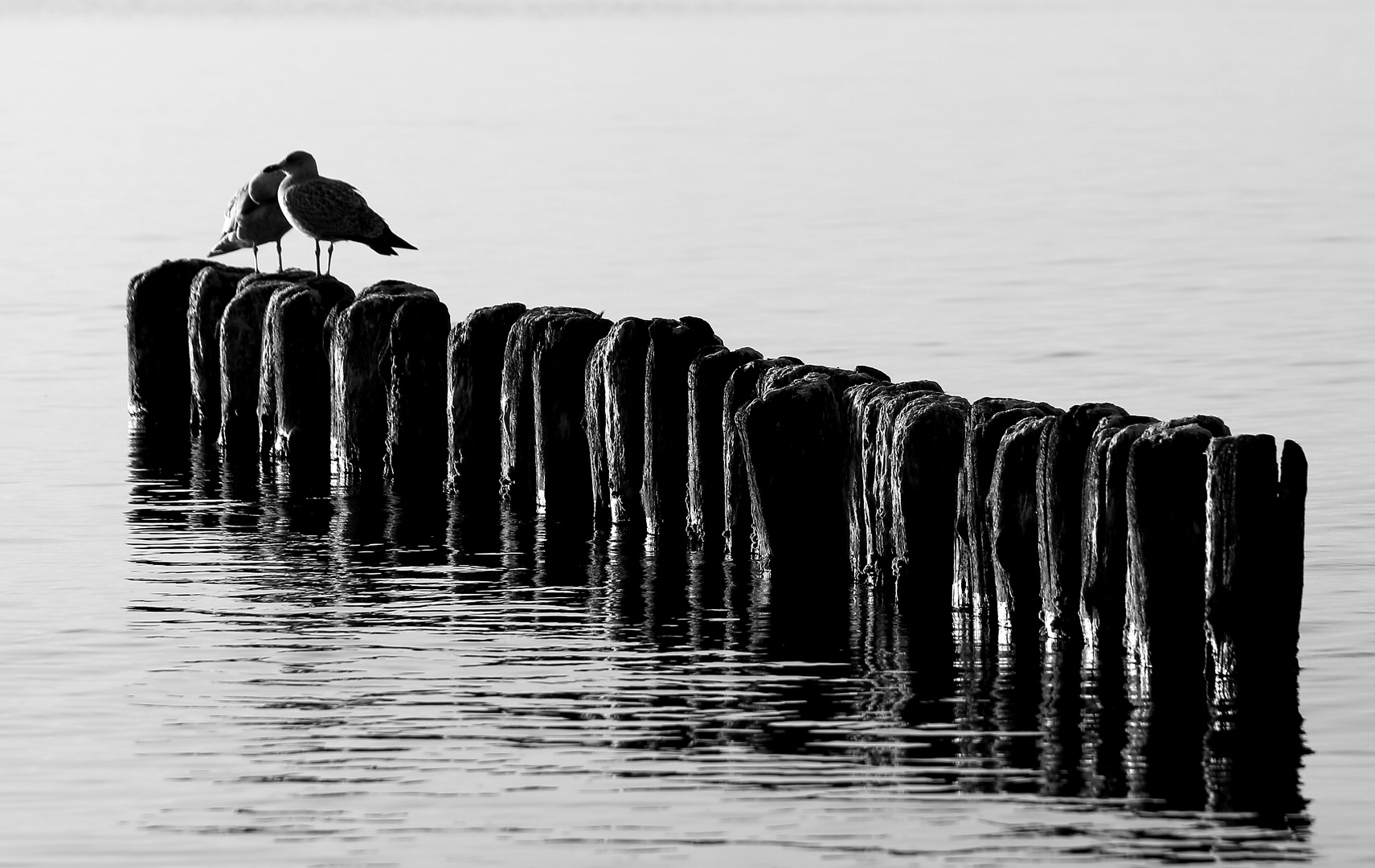 Baltic Sea.