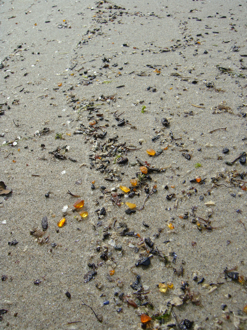 Baltic sea, amber