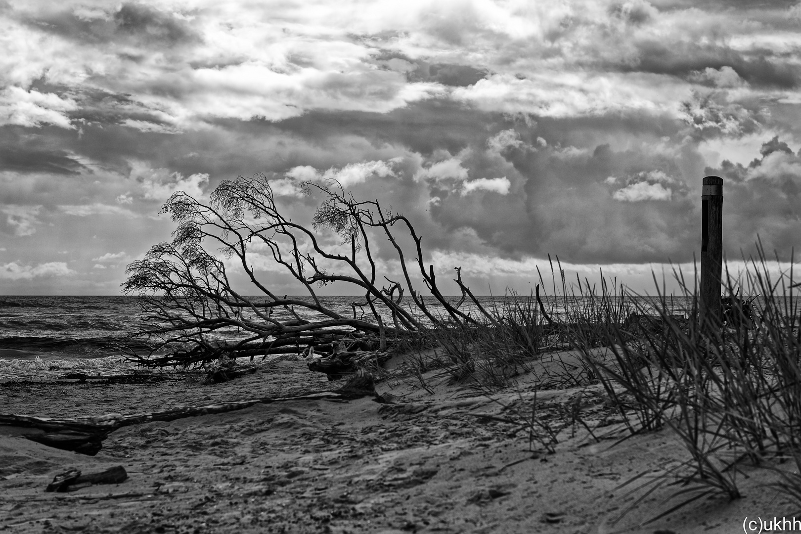 Baltic Sea BW