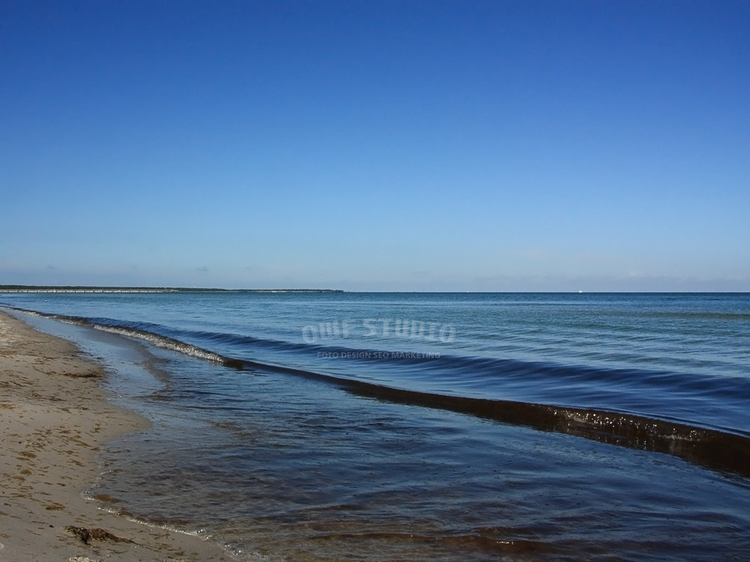 Baltic Sea Coast