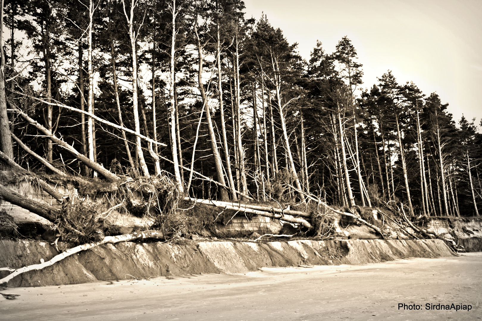 Baltic Sea Coast 2