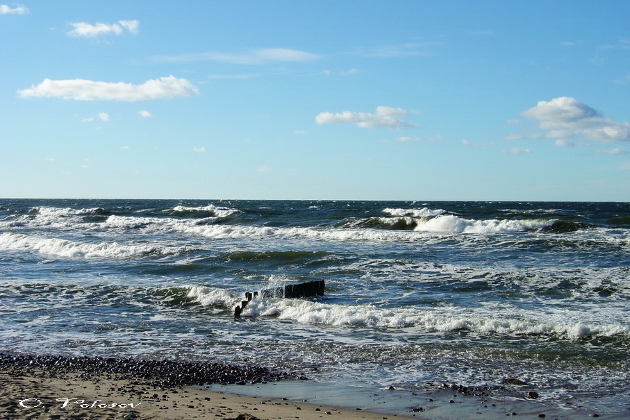 Baltic sea