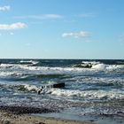 Baltic sea