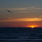 Baltic Sea Sunset