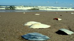 baltic sea usedom @ easter time