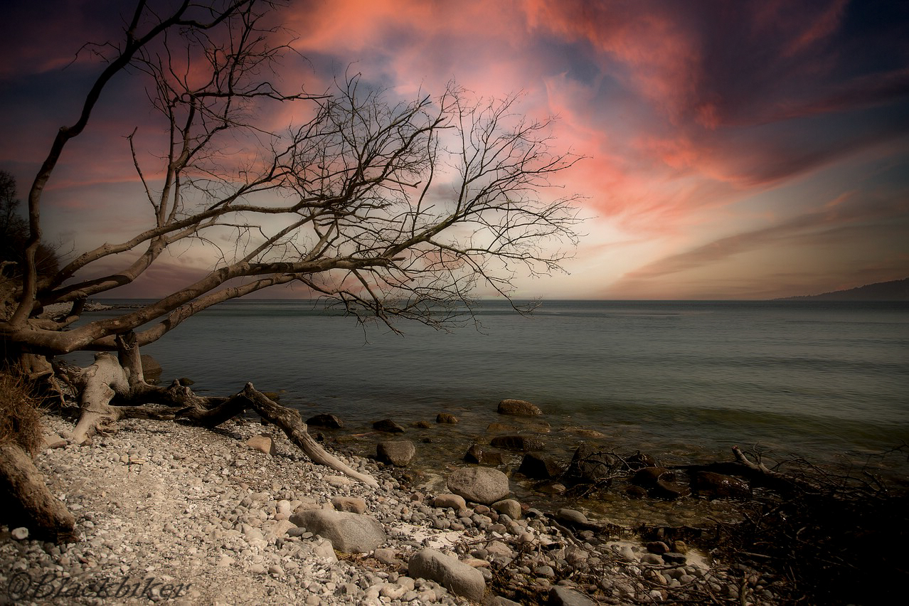 baltic sea with red sky