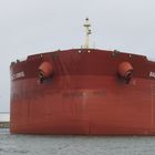 BALTIC SUNRISE, Crude Oil Tanker, Rotterdam.