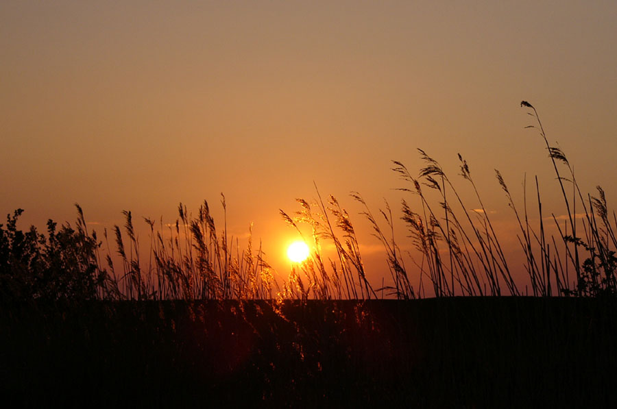 Baltic Sunset