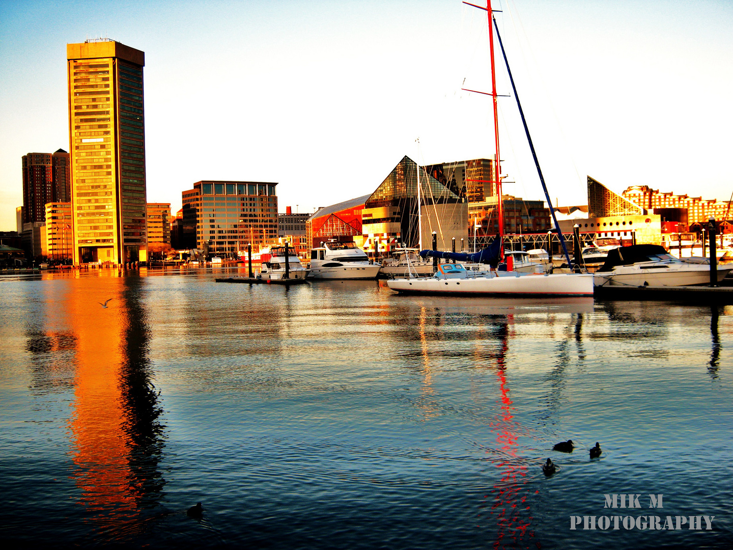 Baltimore Harbor