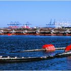 Baltimore Harbor - View toward Sea Girt Marine Terminal