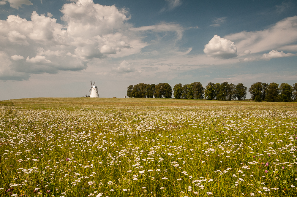 Baltische Landschaft