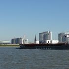 Baltrader vor Bremerhaven