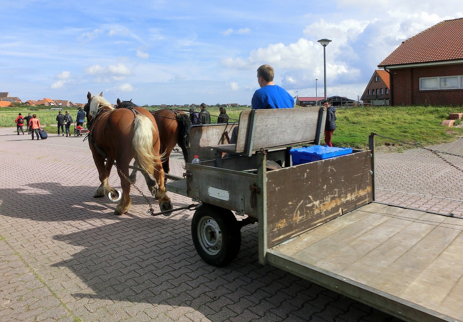 Baltrum - autofreie Insel (2)