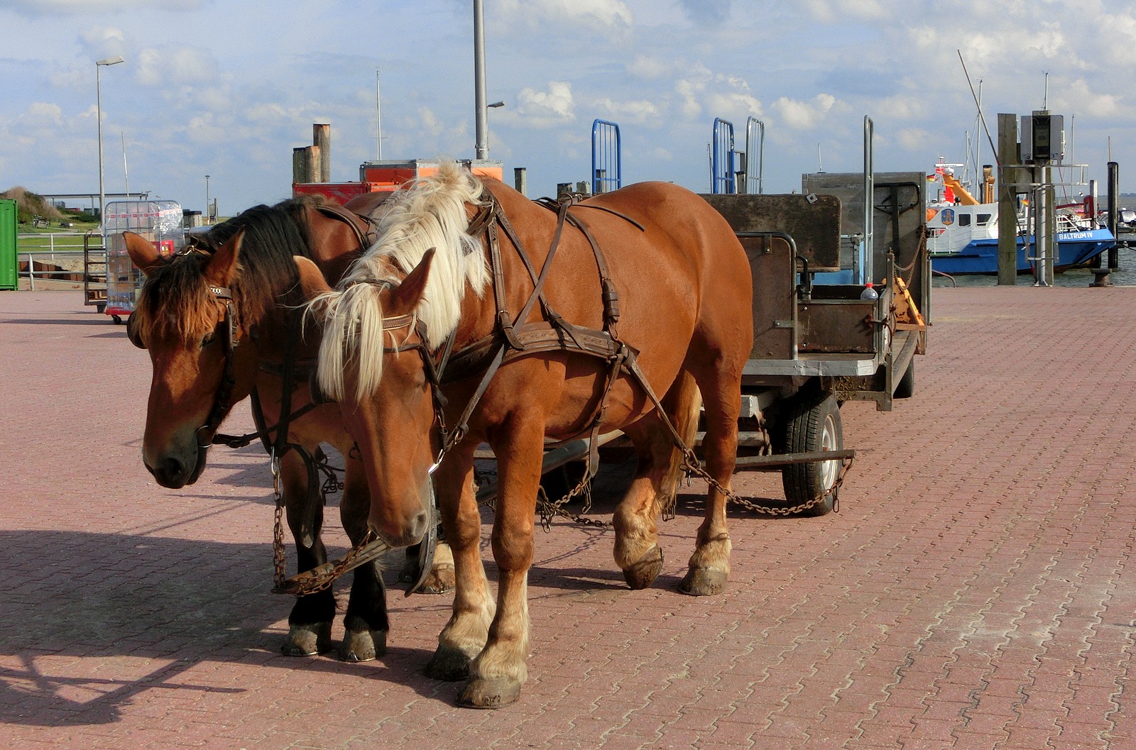 Baltrum - autofreie Insel