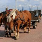 Baltrum - autofreie Insel