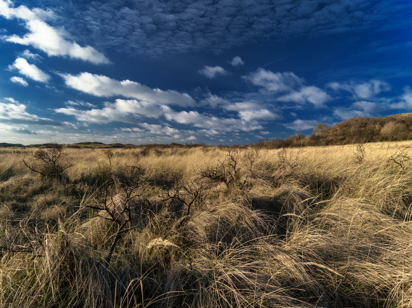 Baltrum, die naturbelassene Insel