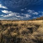 Baltrum, die naturbelassene Insel