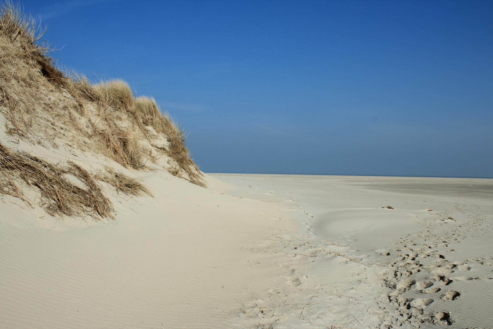 Baltrum meine Insel