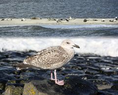 Baltrum und gleichzeitig Norderney