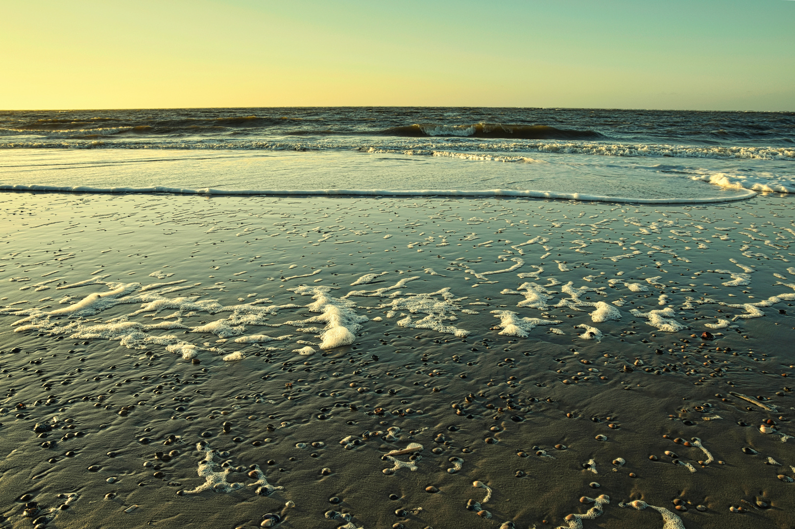 Baltrum2022 Meer Muscheln Schaum