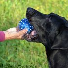 Balu und der Ball