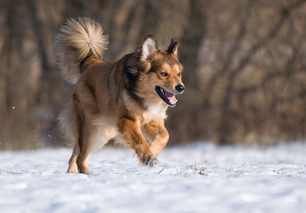 Balus erster Winter