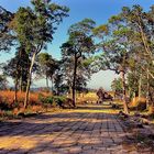 Balustrade in Preah Vihear