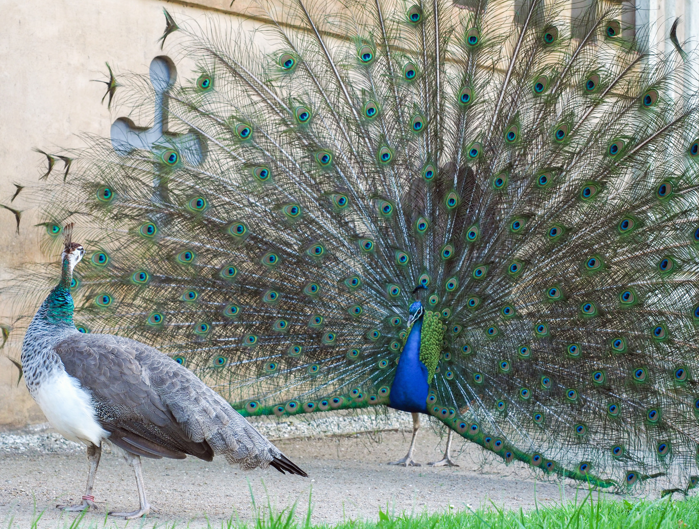 Balz Foto & Bild deutschland, europe, sachsen anhalt Bilder auf