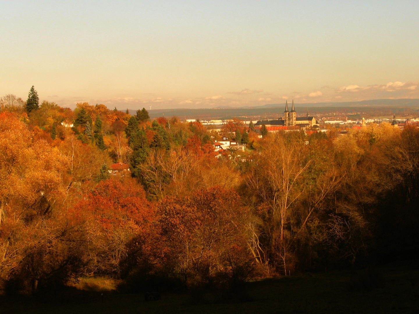 bamberg