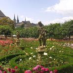 Bamberg - Rosengarten