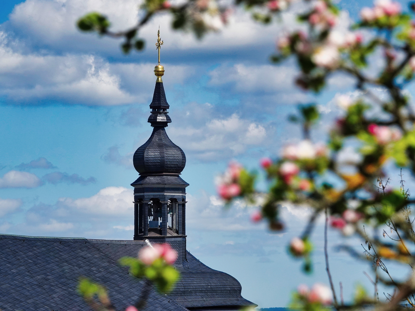 Bambergblick