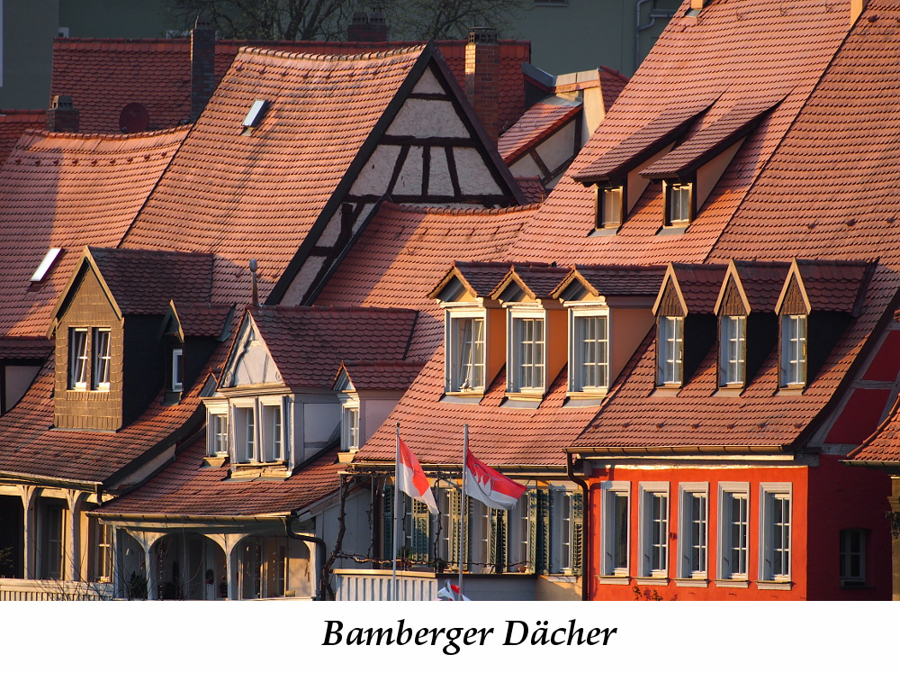Bamberger Dächer